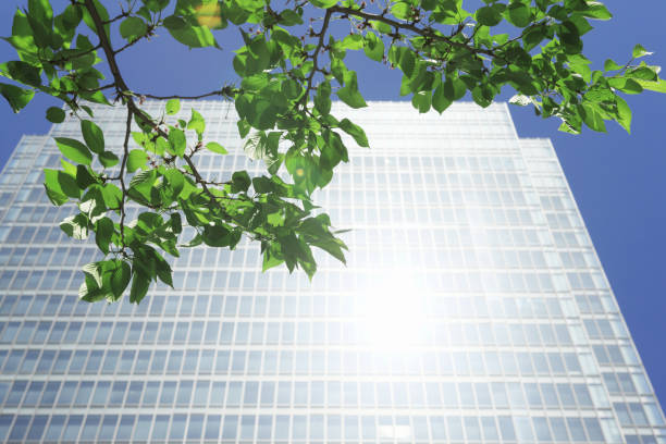 istock Fresh greenery and a building near Umeda, Osaka 2039919130