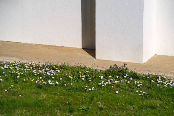 A beautiful cottage garden seen from the road in a traditional Suffolk village in Eastern England.