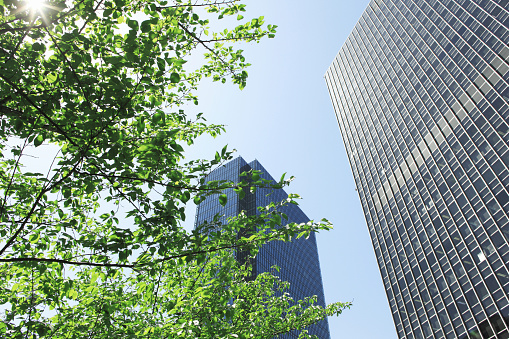 Skyscrapers and bright green trees towering above the clear sky of Osaka. A refreshing and sophisticated image of the city.