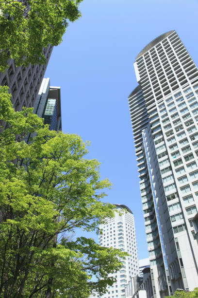 istock Fresh greenery and a building near Umeda, Osaka 2039929006