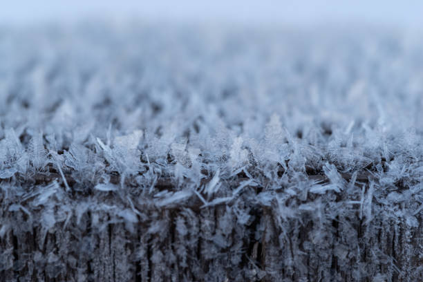 Crystal of snow