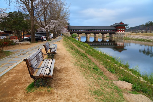 Woljeong Bridge (Woljeonggyo), covered bridge next to Gyochon Traditional Village in Gyeongju, South Korea. Cherry blossom spring season.