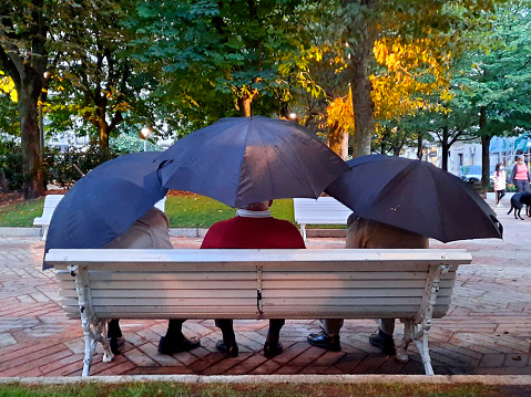 Group of retired senior men talking and relaxing in a public park under black umbrellas, sitting  on a wooden bench in a rainy day . Ourense city, Galicia, Spain.