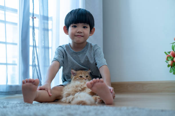 Young boy holding a fluffy cat with affection on a cozy balcony adorned with plants and decorative lights, capturing a warm and friendly moment.