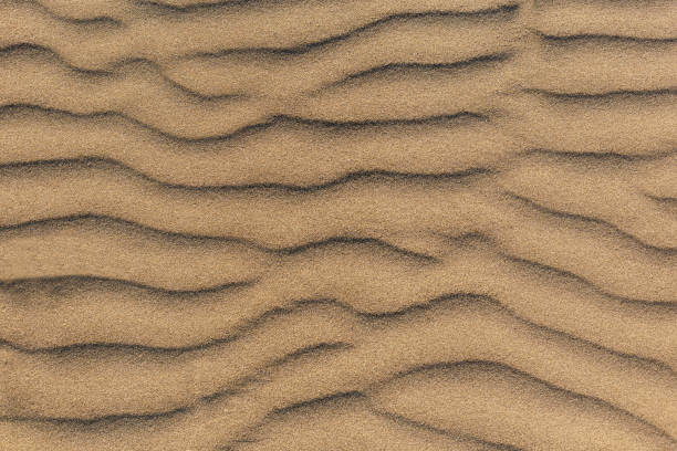 istock Dune waves and sand pattern. Wave, sand dunes. The sand changes shape due to the wind to form sand ripples and jagged lines. Selective focus. Copy space. 2039973723