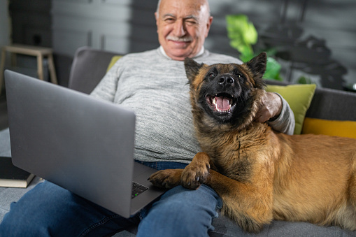 Senior man with dog sitting on gray sofa with laptop and looking at camera at home