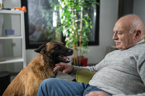 Senior man sitting on chair and petting his dog in the evening at home