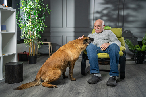Senior man sitting on chair and petting his dog in the evening at home