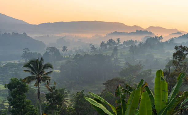 istock Sunrise in mount batur Bali 2039997308