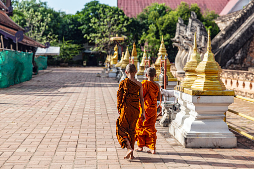 Chiang Mai, Thailand - July 4, 2015: Wat Chedi Luang is a historic Buddhist temple located in Chiang Mai, Thailand. It is famous for its large ruined stupa, originally built in the 14th century. Despite being partially destroyed by an earthquake, it remains a significant religious and cultural site, attracting visitors from around the world.

The image captures two young monks strolling together within the temple grounds.