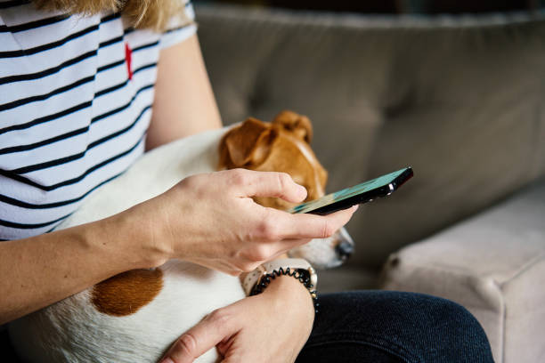 istock Woman using mobile phone at home 2040015728