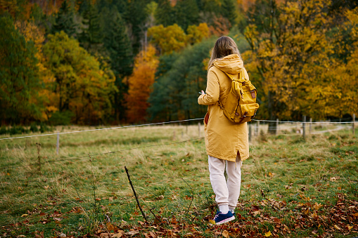 Woman with backpack stands in field by forest with fall foliage