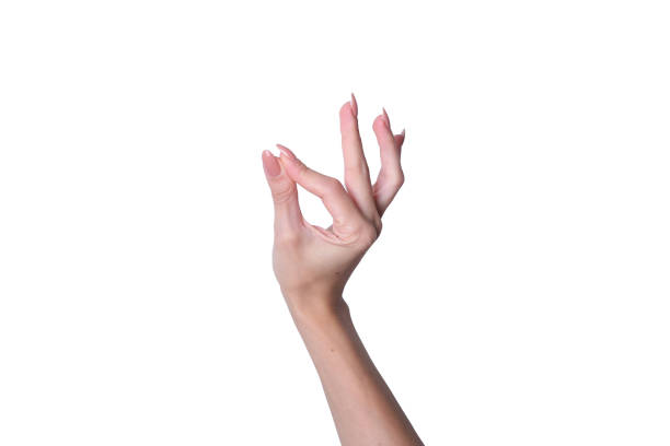 istock Female hand with pink manicured nails presenting an object on a white backdrop 2040042750