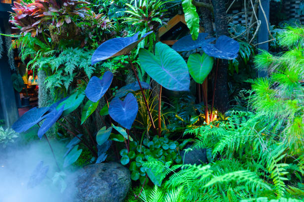 A serene forest landscape with dense green foliage and towering trees. The main scene captures the tranquility and natural beauty of the woods. Visual style is realistic with vibrant colors, creating a peaceful and calming mood. Potential usage includes nature photography, environmental campaigns, or relaxation-themed projects.