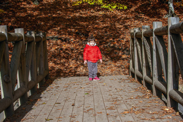Boy in red coat on wooden walkway in forest