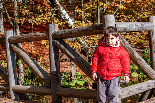 Portrait of boy in red coat leaning on log railing in forest