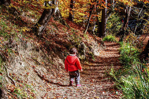 Boy in red coat walking on the forest path in Yedigoller
