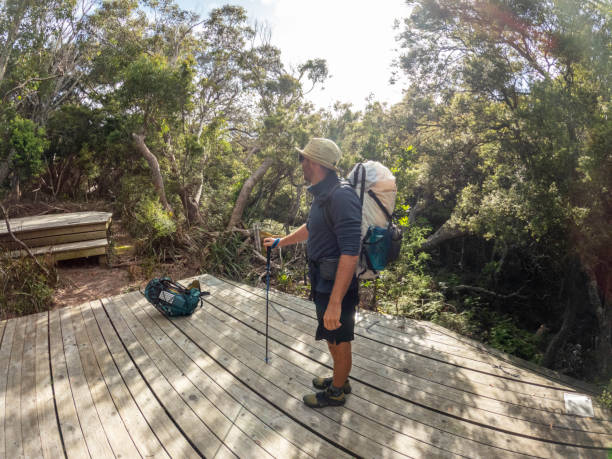istock Long distance hiker arrives at camping platform 2040065545