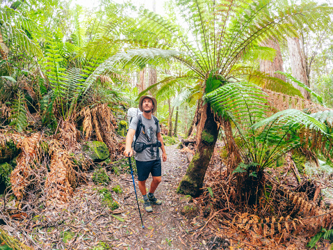 A man enjoys a scenic hike in Tasmania, immersing himself in the beauty of the natural surroundings.