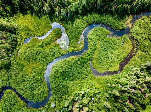 Top down view of a winding creek and meadow surrounded by forest