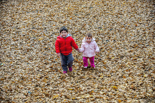 Siblings walking hand in hand in the forest