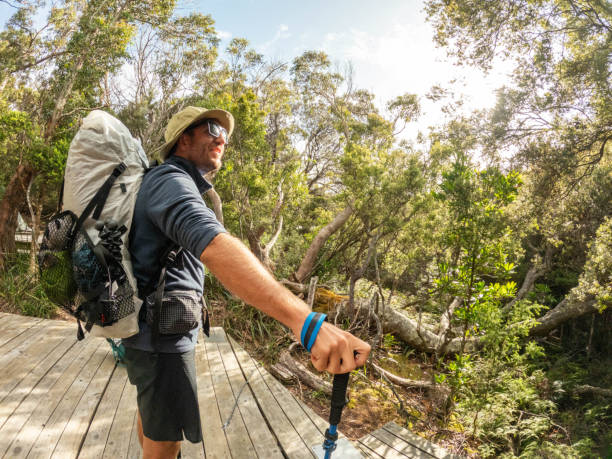 長距離ハイカーがキャンプ場に到着 - eucalyptus tree tree australia tropical rainforest ストックフォトと画像