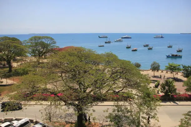 high angle view of Stonetown city in Zanzibar