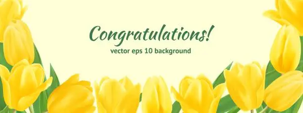 Vector illustration of Tulip banner. Congratulations horizontal poster. Yellow spring flowers and green leaves. Realistic 3d botanical elements and copy space. Floral frame with garden botany. Vector illustration