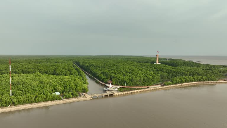 Ca Mau Cape National Park seen from above, recognized by UNESCO as a world biosphere reserve.