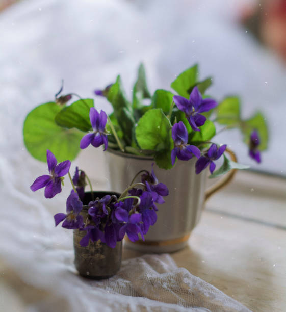 Violet and purple spring  flowers  in decorative composition vintage styled close up photo