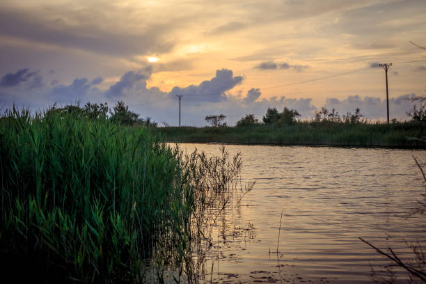 Këneta e Vainit, Ishull Lezhë. Swamps