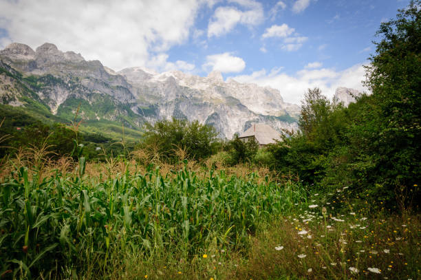 Theth Albanian Alps Landscape in summer