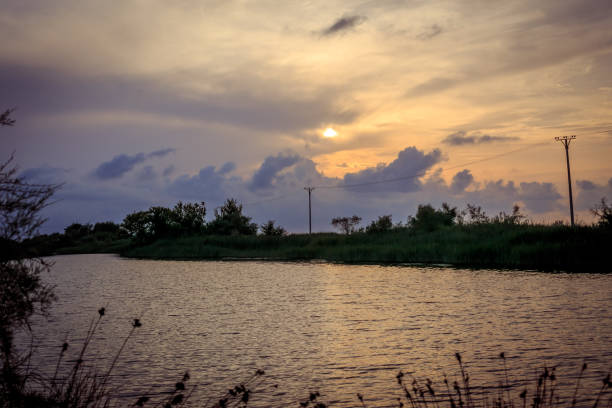 Këneta e Vainit, Ishull Lezhë. Swamps