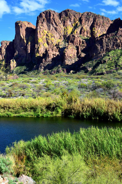 istock Salt River Recreation Area Arizona 2040218690