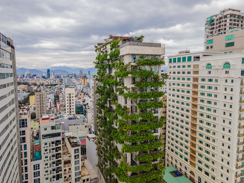 Eco architecture. Green cafe with hydroponic plants on the facade. Ecology and green living in city, urban environment concept. Modern building covered green plant.