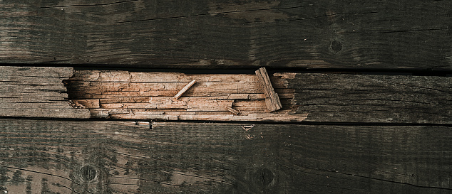 old wood texture, wood texture background