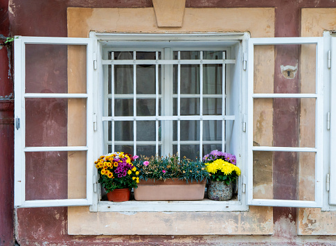 A beautiful rectangle flowerpot with flowers is placed on a wooden window fixture of a brick building, bringing color and life to the houseplant