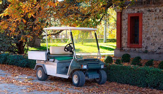 Auxiliary vehicle for gardening work or as a golf cart.
