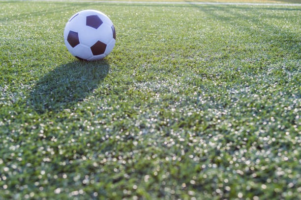 istock Soccer football on green grass 2040244121