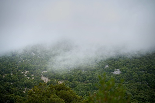 The photo was taken in Sardinia island close to Cala Gonone, in a mountainous region. There are forest, fog and rocks.