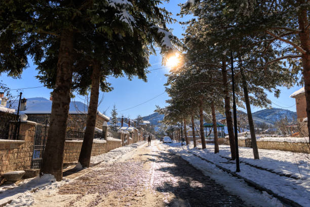 Voskopojë in winter snow, Albanian Village