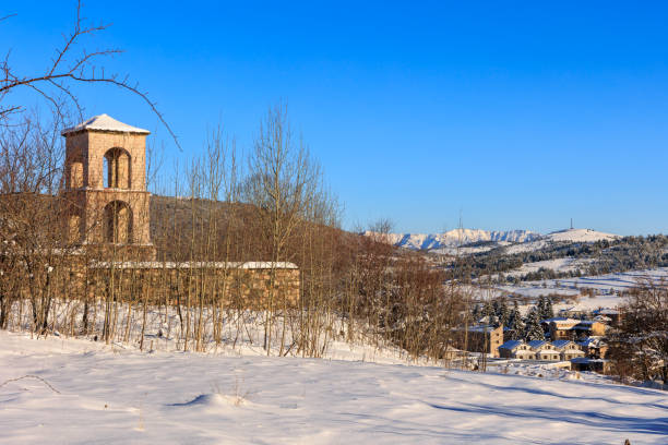 Gatchina Priory Palace in winter. White snowy landscape with old Maltese palace in beautiful natural landscape.