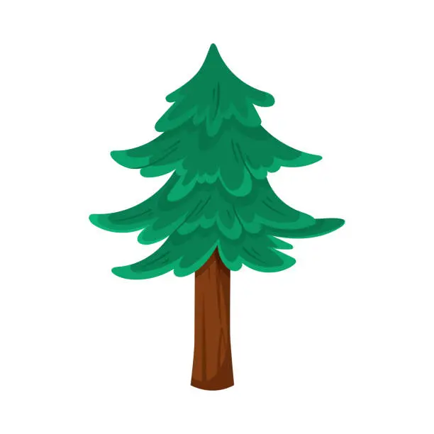 Vector illustration of Green Fir Tree with Brown Trunk Vector Illustration