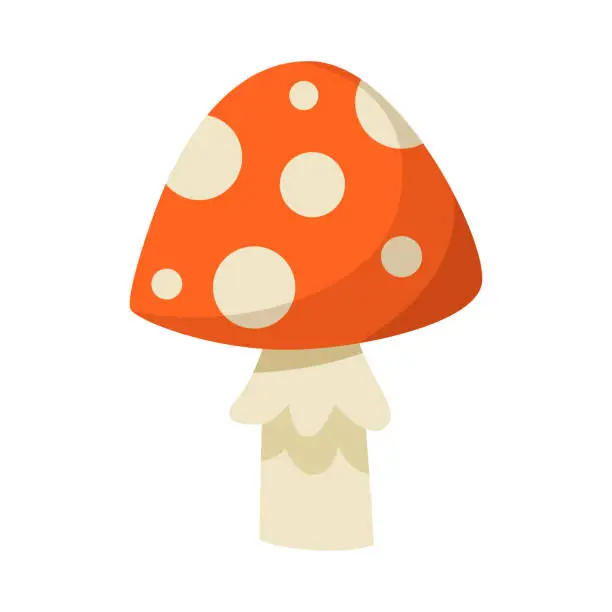 Vector illustration of Amanita Mushroom and Fly Agaric as White Spotted Red Mushroom Vector Illustration