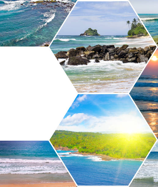 istock Picturesque tropical beach. ollage. There is free space for text. 2040299169