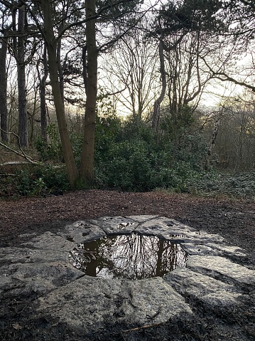 Caesar's Well on Wimbledon Common is a captivating testament to history nestled amidst nature. This ancient and historic water source, made of stone, serves as a reminder of times long past. The well, with its weathered surface, stands as a witness to the ebb and flow of centuries, a silent spectator to the changing landscape of Putney, Roehampton, and Richmond.

Surrounded by the natural beauty of Wimbledon Common, the well becomes a tranquil oasis, shaded by trees and embraced by the woodland. It's a place where the whispers of history echo in the rustling leaves, inviting visitors to connect with the rich heritage of England. In the heart of London, this well serves not only as a water source but as a living artifact, allowing us to touch the essence of ancient times in a modern metropolis.