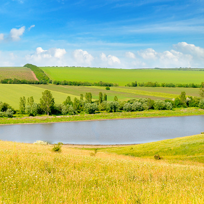 Agricultural fields, meadows, lake and bright sky.