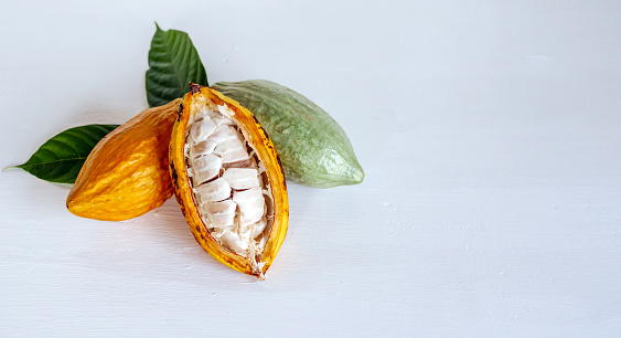 Half sliced ripe yellow cacao pod with white cocoa seed ,Cut in half fresh ripe cacao and green raw cacao fruit on white wooden background