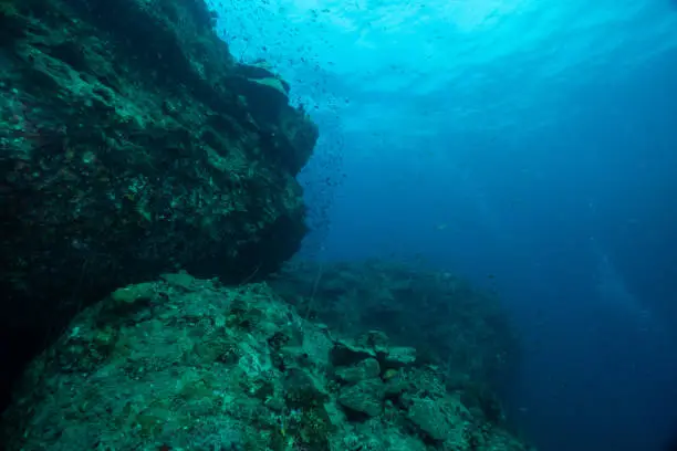 Underwaterworld blue water