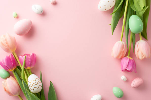 istock Eggstravaganza Display: Top view photo showcasing lively eggs, and blooming tulips against a pastel pink backdrop. An inviting empty frame awaits your text or promotional message 2040341511